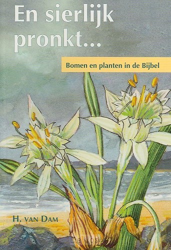 En sierlijk pronkt