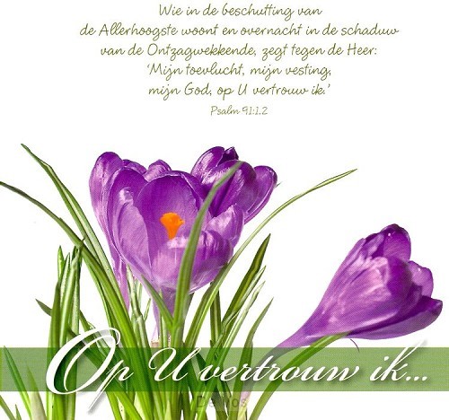 Prentbriefkaart op U vertrouw ik