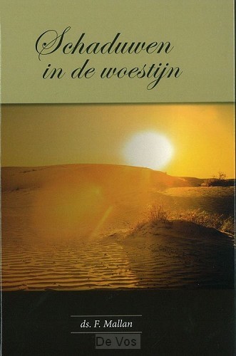 Schaduwen in de woestijn
