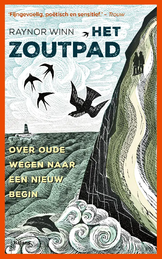 Zoutpad