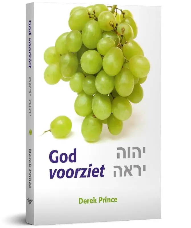 Belofte van voorziening