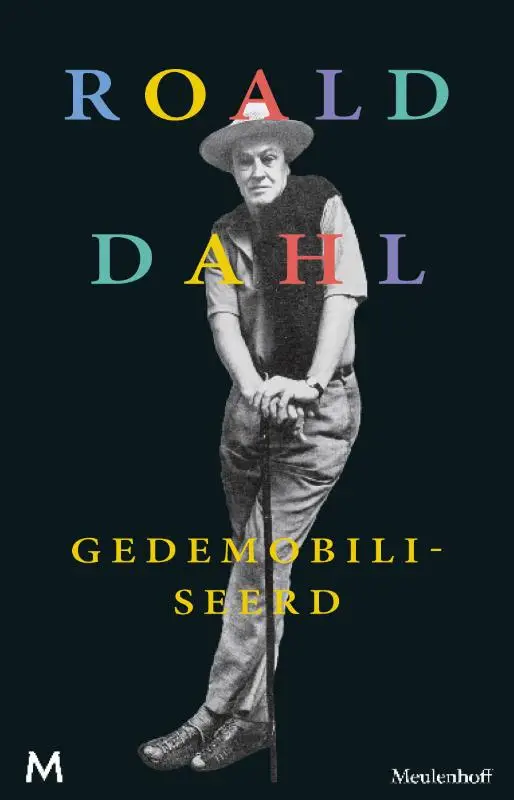 Gedemobiliseerd