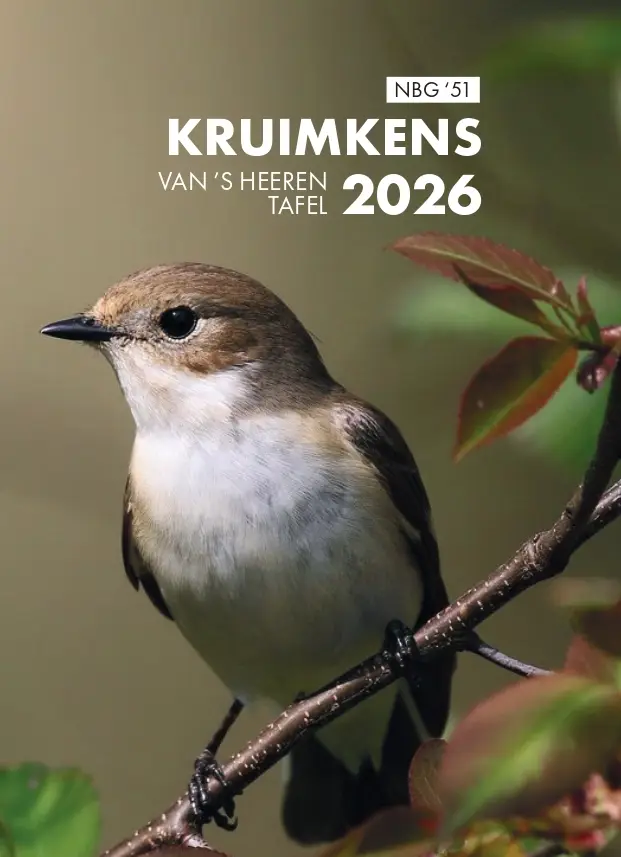 Kruimkens | 2026