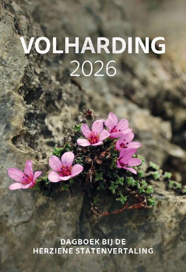 Volharding 2026