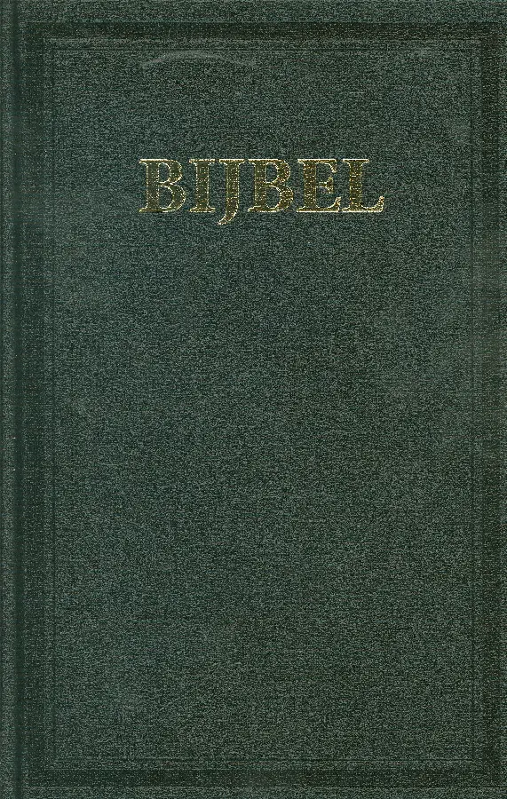 Huisbijbel M40G goudsnee