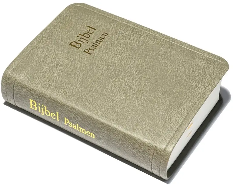 Zakbijbel D31RTP taupe kleursnede