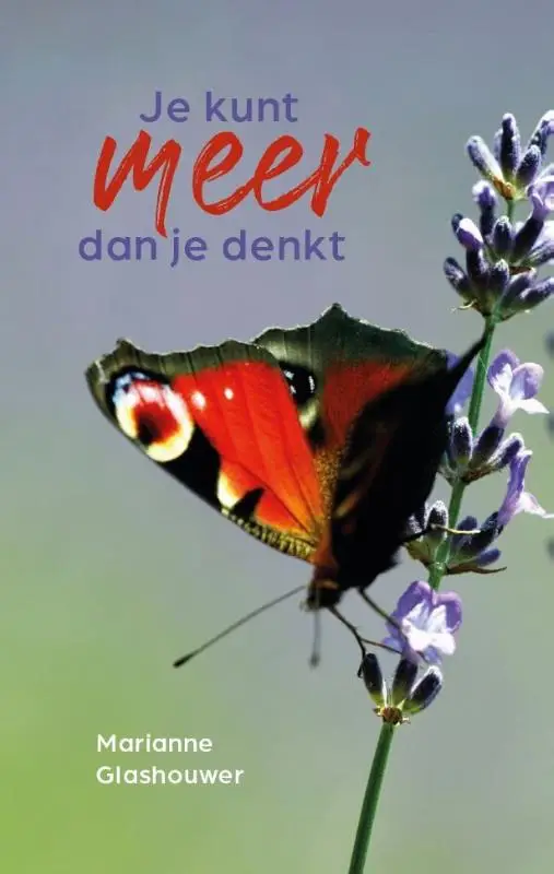 Je kunt meer dan je denkt, verhalen