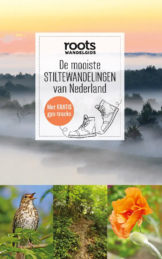 De mooiste stiltewandelingen van Nederland