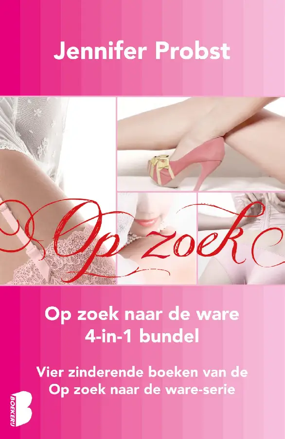 Op zoek naar de ware bundel (4-in-1)