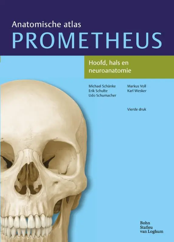 Hoofd, hals en neuroanatomie
