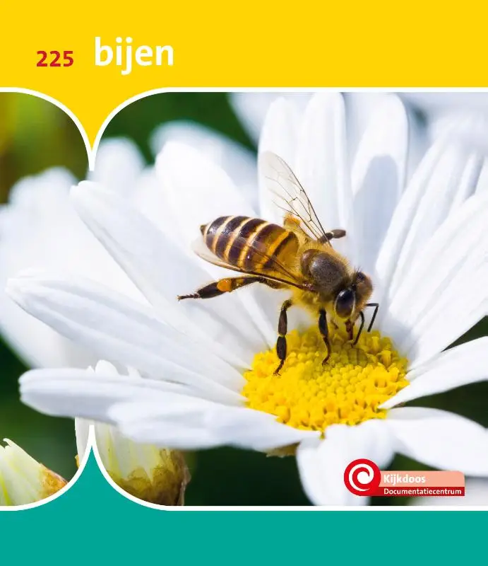 Bijen