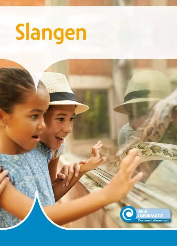 Slangen