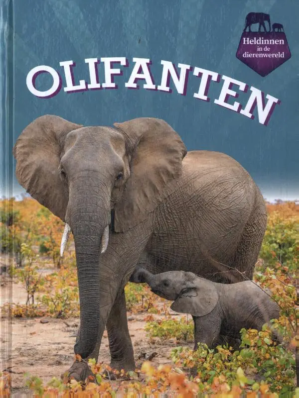 Olifanten