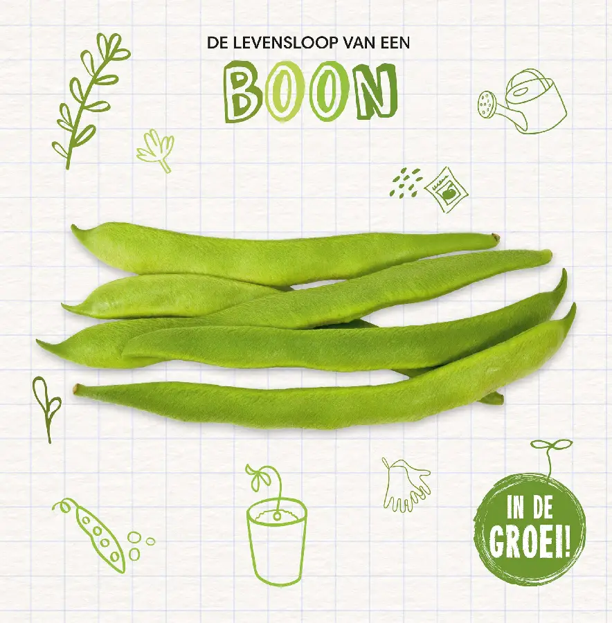 Boon