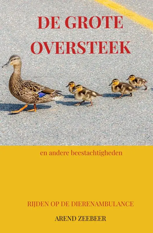 De Grote Oversteek