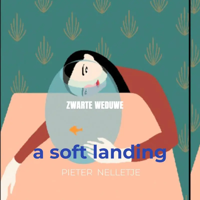 a soft landing