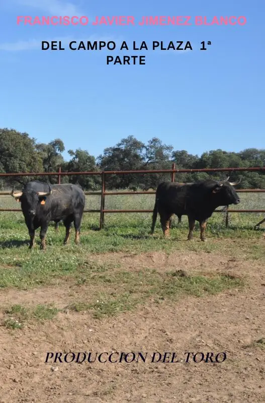 DEL CAMPO A LA PLAZA 1ª PARTE