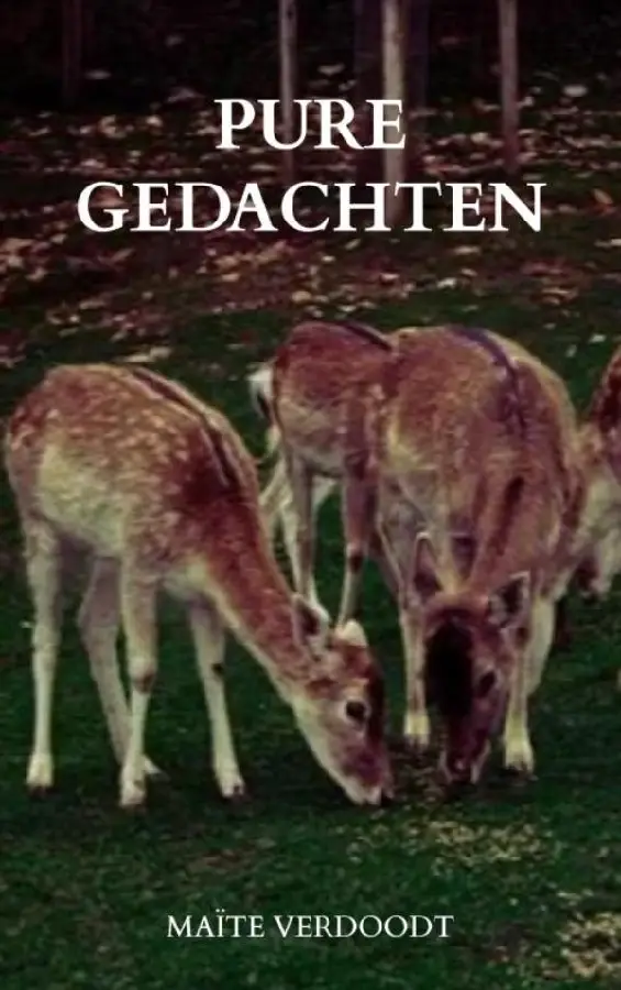 Pure gedachten