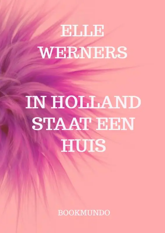IN HOLLAND STAAT EEN HUIS
