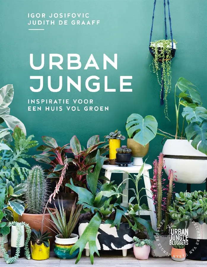 Urban jungle