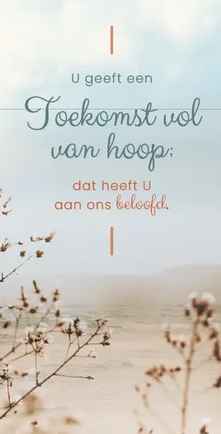 Magneetboekenlegger Toekomst