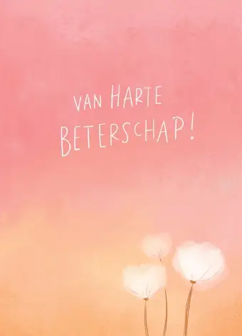 Minikaart  Beterschap