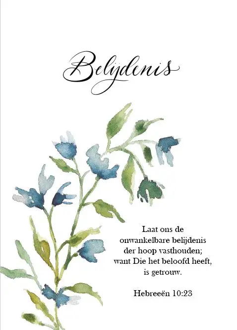 Belijdenis Laat ons de onwankelbare beli