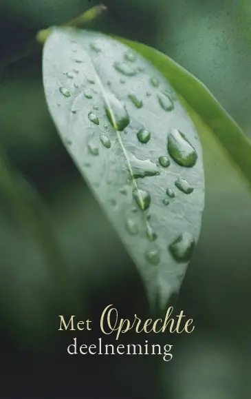 Map Rouw ( bladeren)