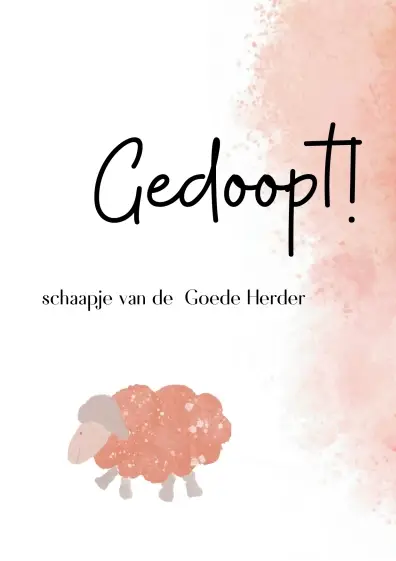 Gefeliciteerd 16 jaar