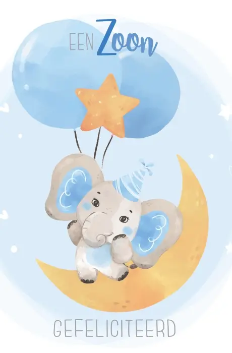 Geboorte zoon tekst sv