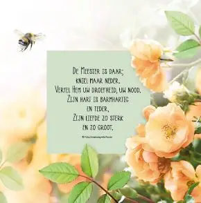 Ik sla mijn ogen op naar Hem