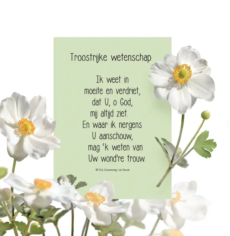 Troostrijke wetenschap