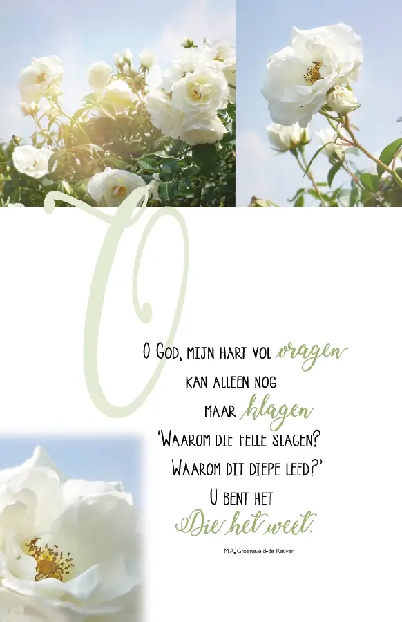 Ik weet het niet ik kan de zin niet vind