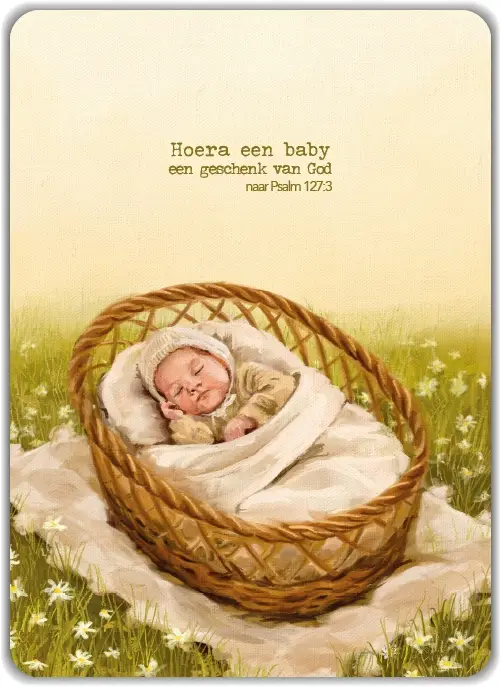 Kaart Hoera een baby