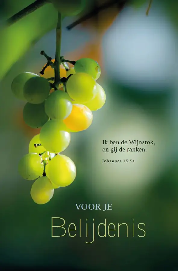 Wenskaart Voor je Belijdenis mt