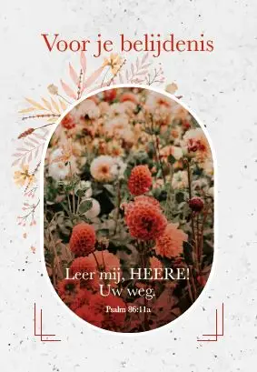 Minikaartje Voor je belijdenis