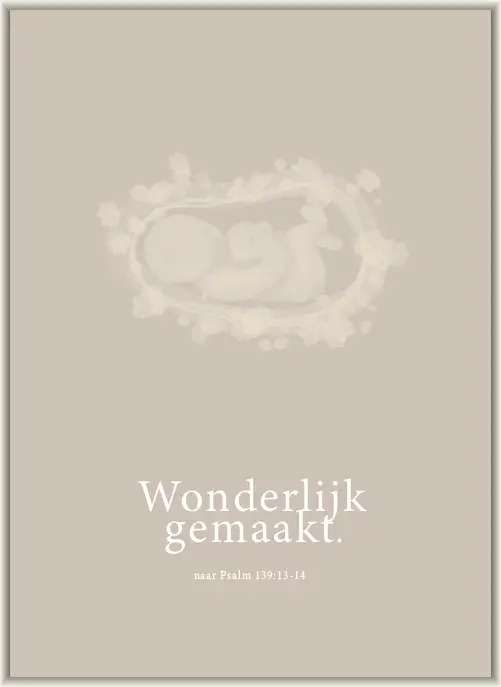 Kaart wonderlijk gemaakt