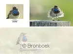 Panoramawenskaart zt blauwborst