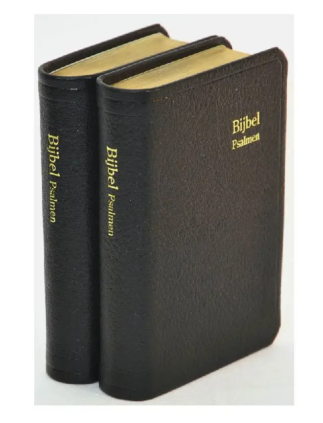 Dameszakbijbel D32R leer goudsnede
