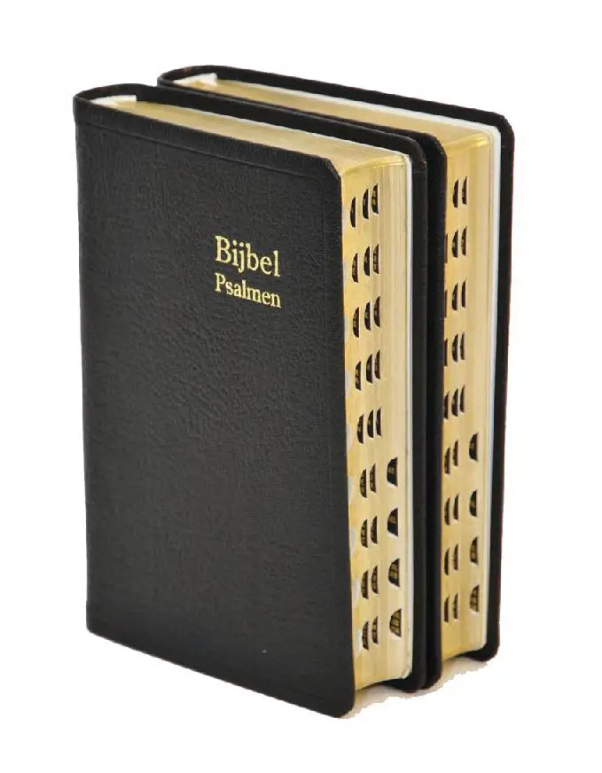 Dameszakbijbel D34R leer goudsnede index