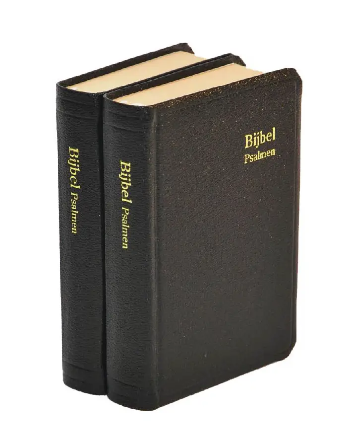 Herenzakbijbel H31R kunstleer