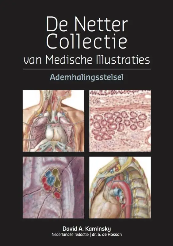 De Netter collectie / Ademhalingsstelsel