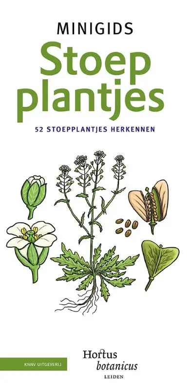 Set Minigids Stoepplantjes