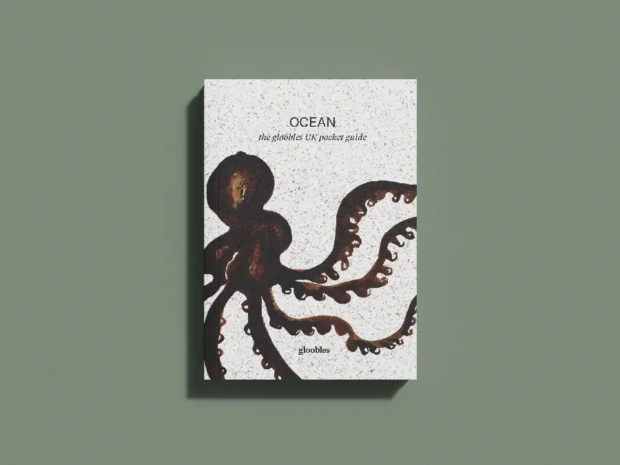 OCEAN the gloobles UK pocket guide