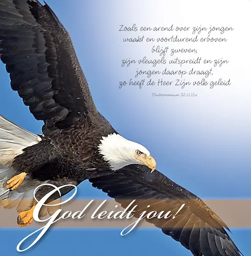Wenskaart God leidt jou