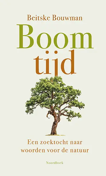 Boomtijd