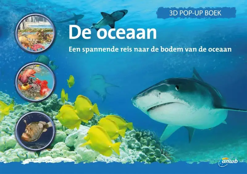 Oceaan