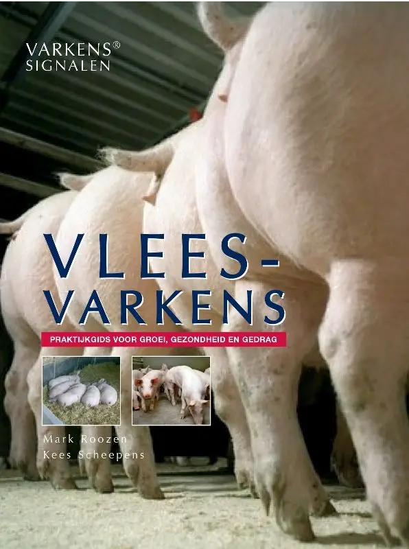 Vleesvarkens