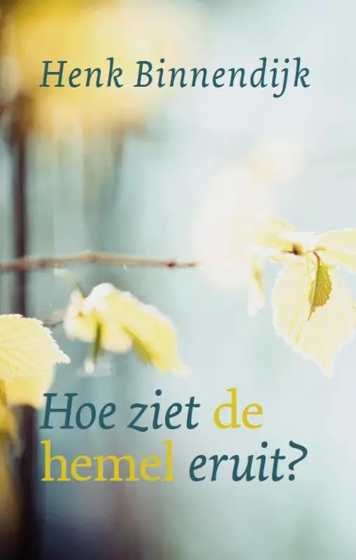 Hoe ziet de hemel er uit?