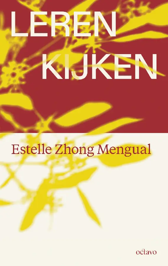 Leren kijken